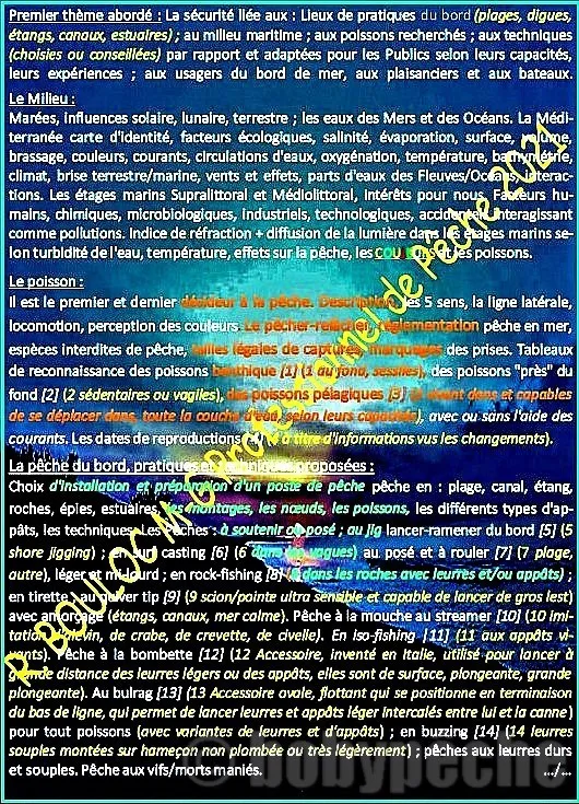 Sujets abordés en pêches mer bord avec Bobypêche